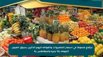 ارتفاع ملحوظ في أسعار الخضروات والفواكه اليوم الاثنين بسوق العبور.. الجوفة بـ10 جنيه والبطاطس بـ9
